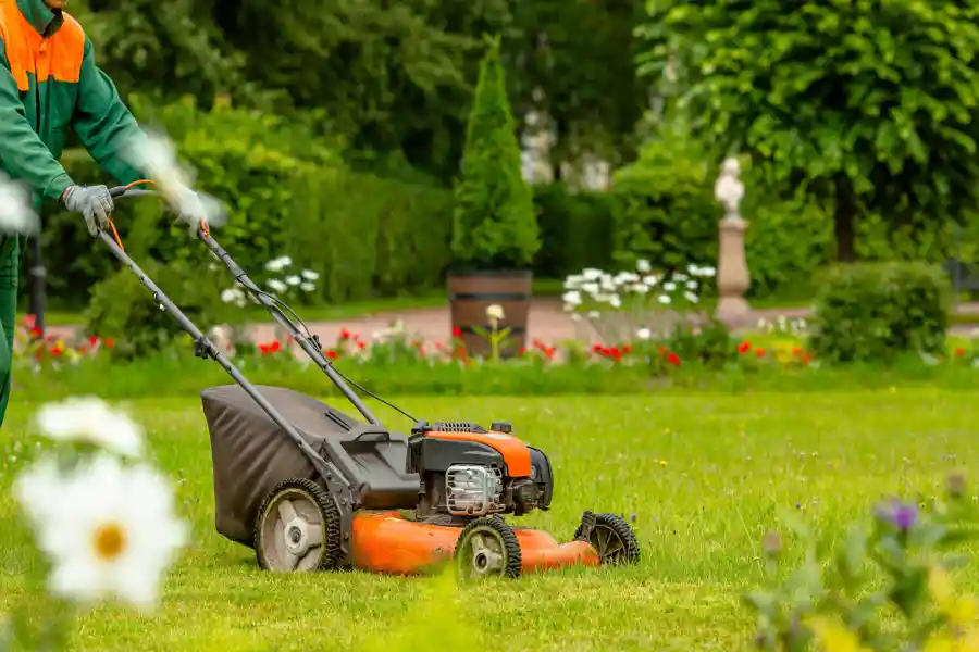 Lawn Care Services