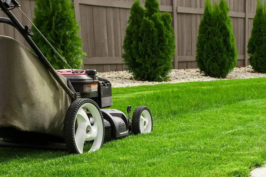 Lawn Care Tips Upper Black Eddy, PA