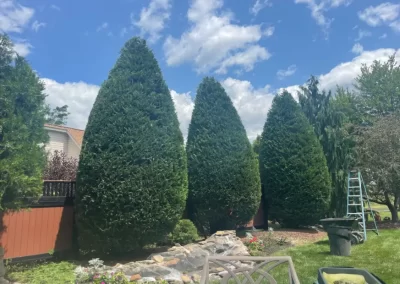 Landscape Maintenance